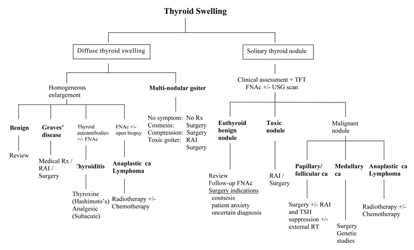 Thyroid Hormone Flow Chart