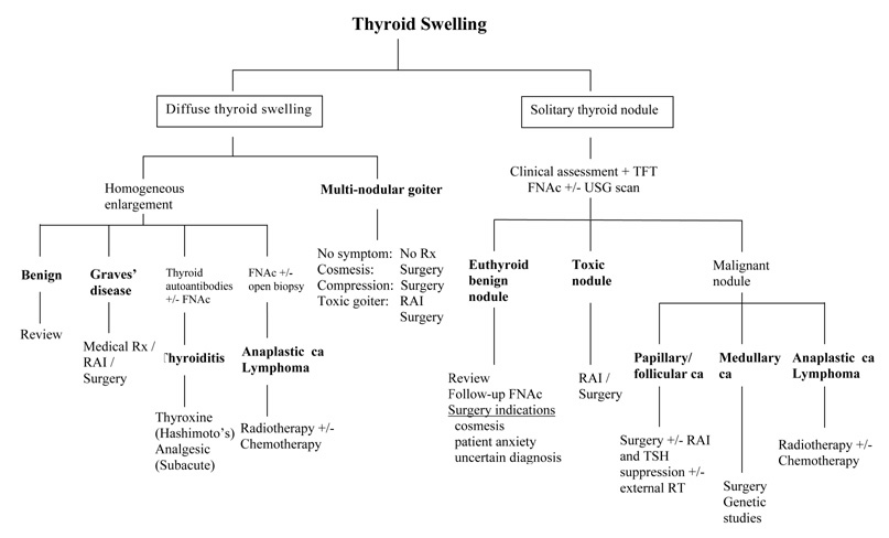 Thyroid Flow Chart