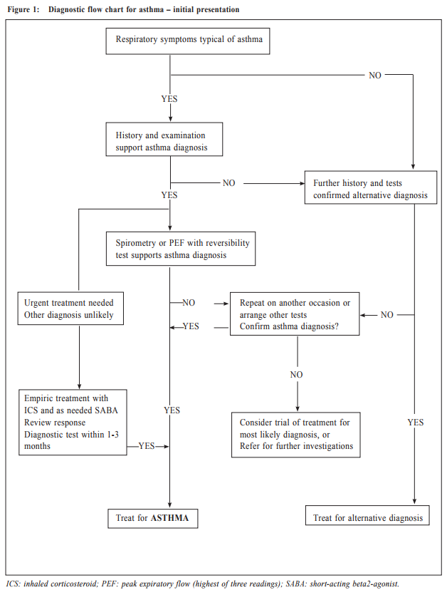 Asthma Treatment Flow Chart